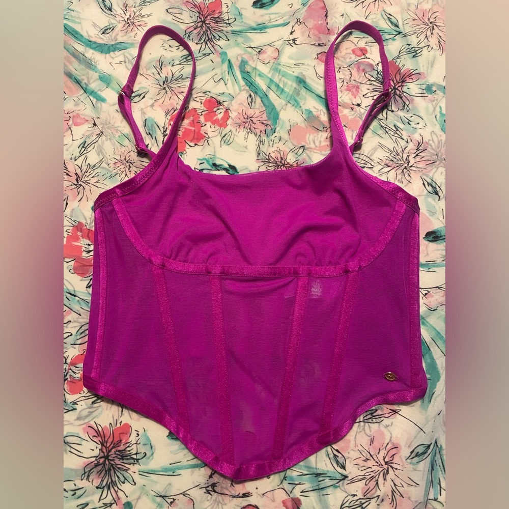 Mesh lingerie top / crop top / NWOT